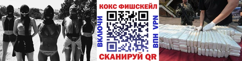 Кокаин Fish Scale  где купить наркоту  нарко площадка состав  Железногорск-Илимский  omg маркетплейс 