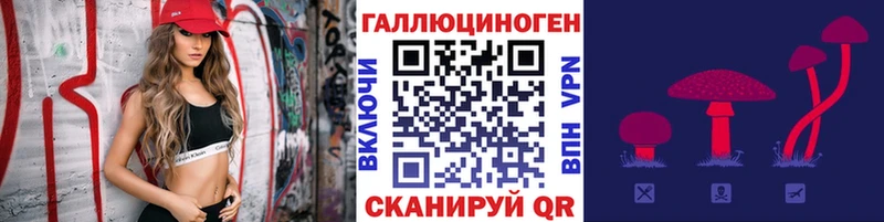 купить  сайты  shop наркотические препараты  Псилоцибиновые грибы MAGIC MUSHROOMS  Железногорск-Илимский 